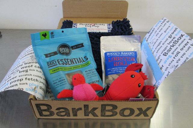 We got a box for each size of dog! This here's an X-Small for resident Cockapoo, Daisy. Includes Bocce's Bakery Lobster Roll Biscuits, Bixbi Chicken Jerky, a Muddy Buddy Dog Mop, a Pet Rageous Lobster water toy, and a tiny turtle.